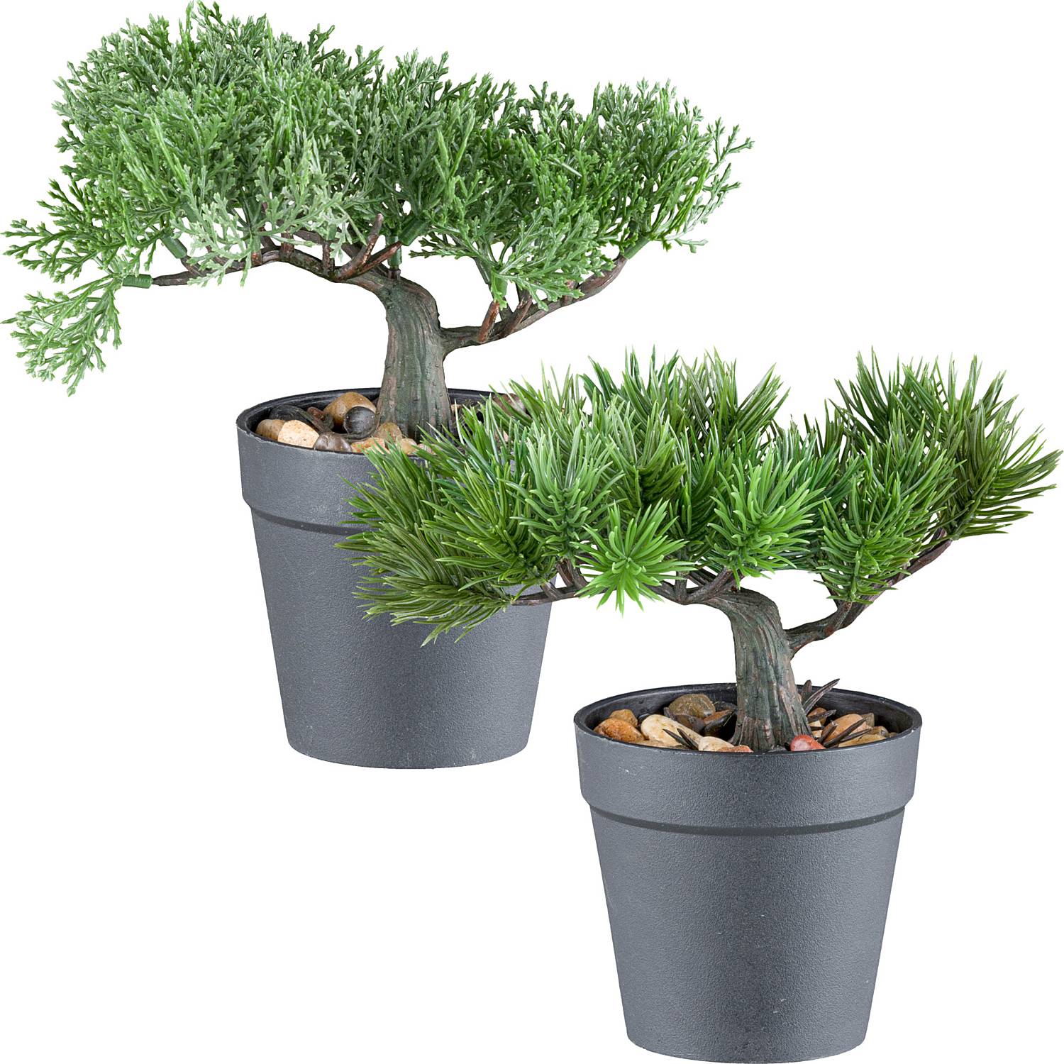Kunstpflanze Bonsai Kiefer/Zeder im 2er-Set