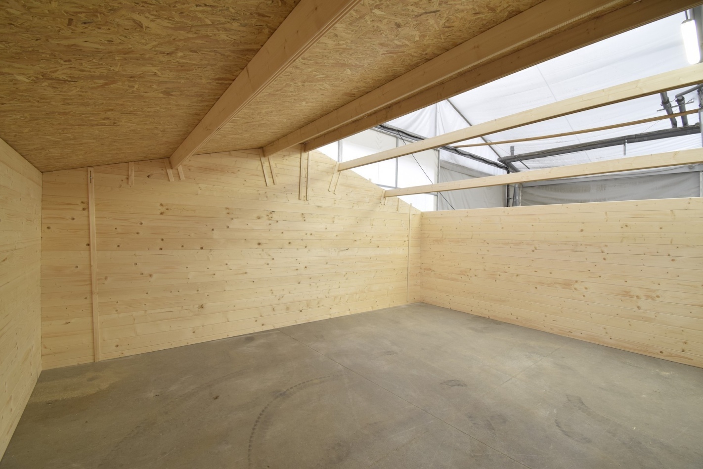 Abri de jardin en bois - 30m2 - 6x5m - ep. 40mm - couleur: naturel