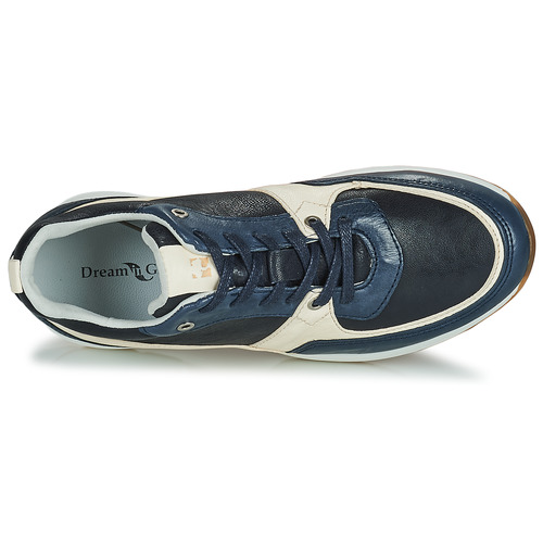 Dream in Green - AGAPANTHE - Multico-bleu