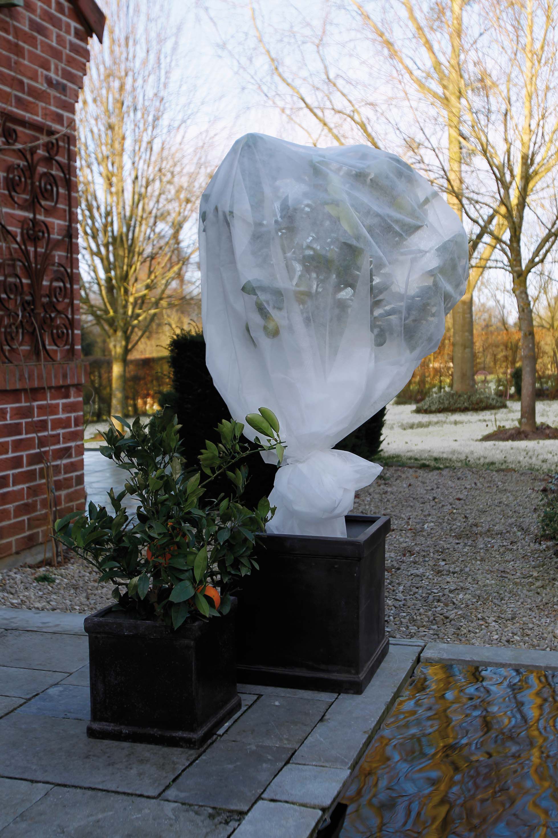 Nature Winterafdekvlies- Plantbescherming - 37x24x4 cm