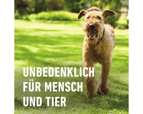 COMPO BIO herfstgazonmeststof 20 kg 400 m² organische meststof