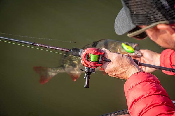 Canne Casting Fox Rage Warrior Zander Cast 2.1m (10-40g)