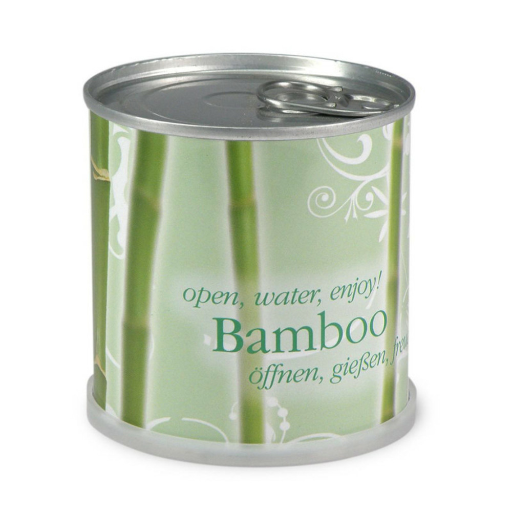 Bambou prêt à pousser en canette