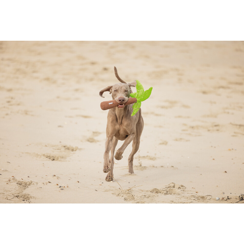 Beeztees Pluche Hondenspeelgoed Palmboom 30 cm