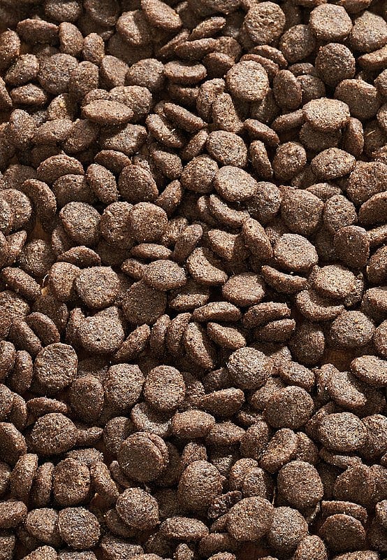 Vet-Concept Cat Allergy Gans Kattenvoer | 3 kg | 12855