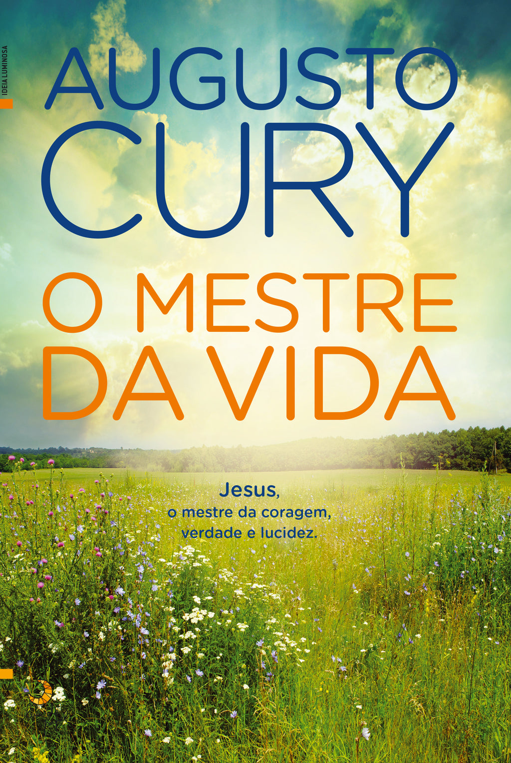 O Mestre da Vida de Augusto Cury