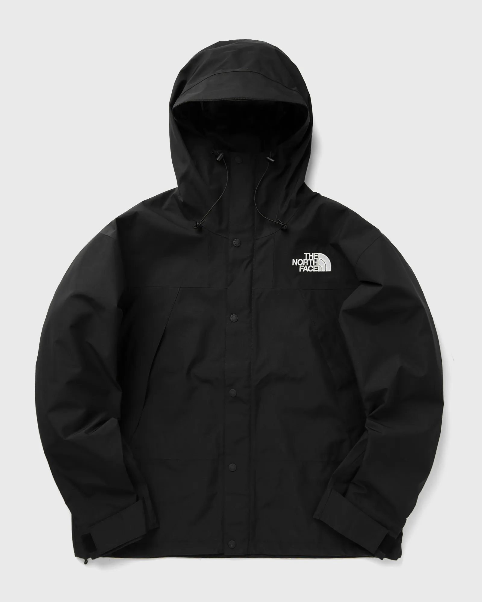 The North Face M GTX MOUNTAIN JACKET