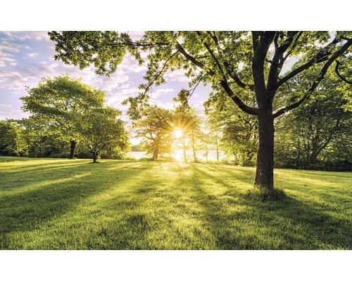 Vliesbehang PSH054-VD4 Pure Golden Moment 4-delige set 400 x 250 cm