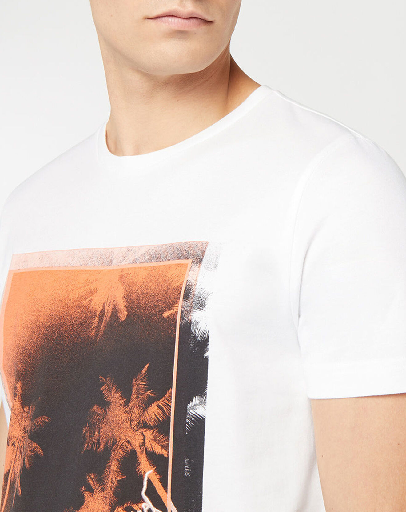 Tommy Hilfiger T-Shirt 100% Coton Bio Palm Photo blanc