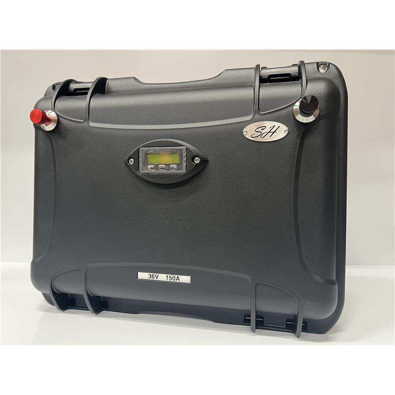 Batterie Lithium Ion Sh Lithium Gamme Haute Performance Brushless- 36V150a + Chargeur