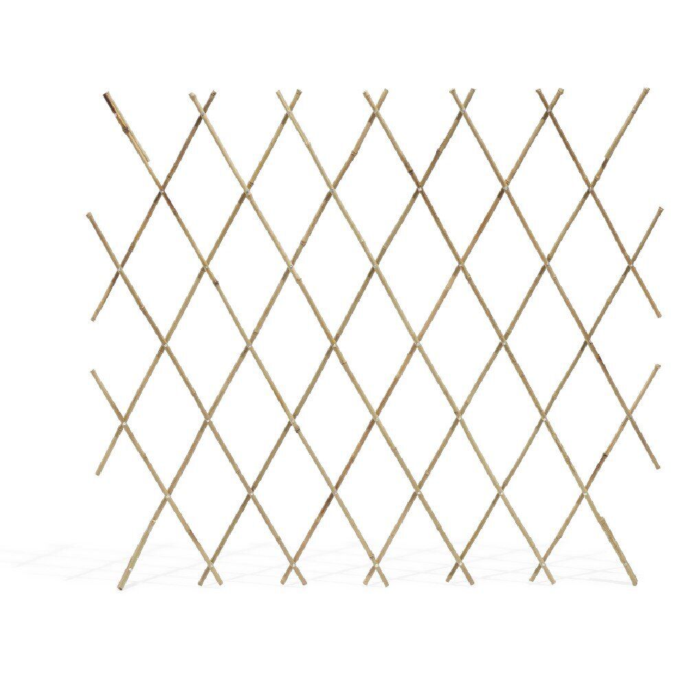 Treillis extensible bambou