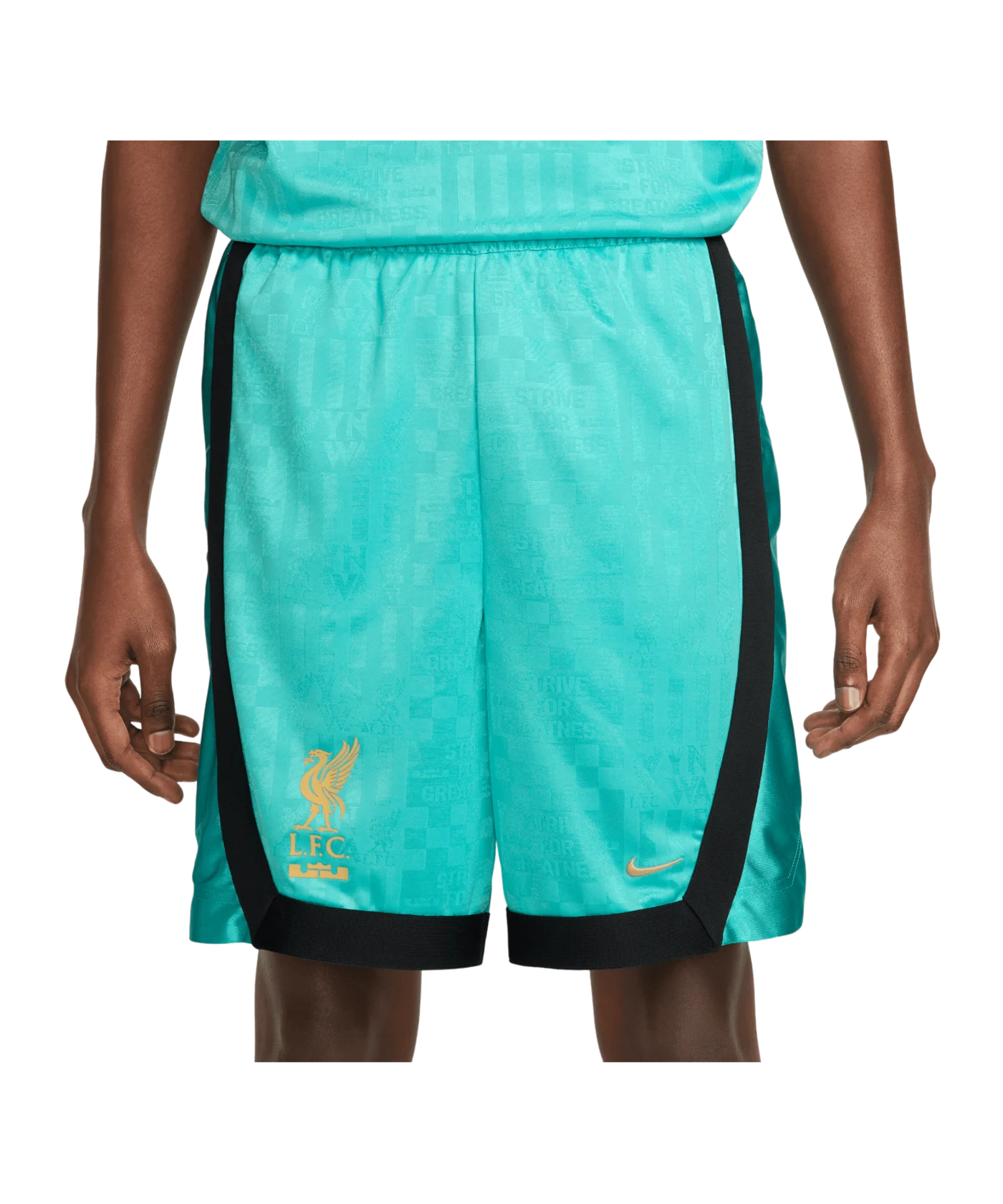 Nike FC Liverpool x LeBron Basketball Shorts F392