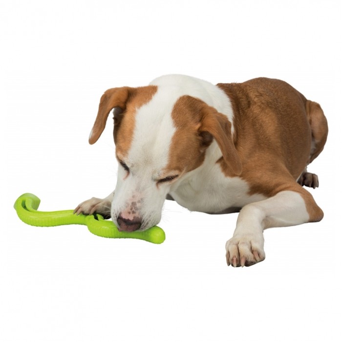 Jouet distributeur Snack-Snake