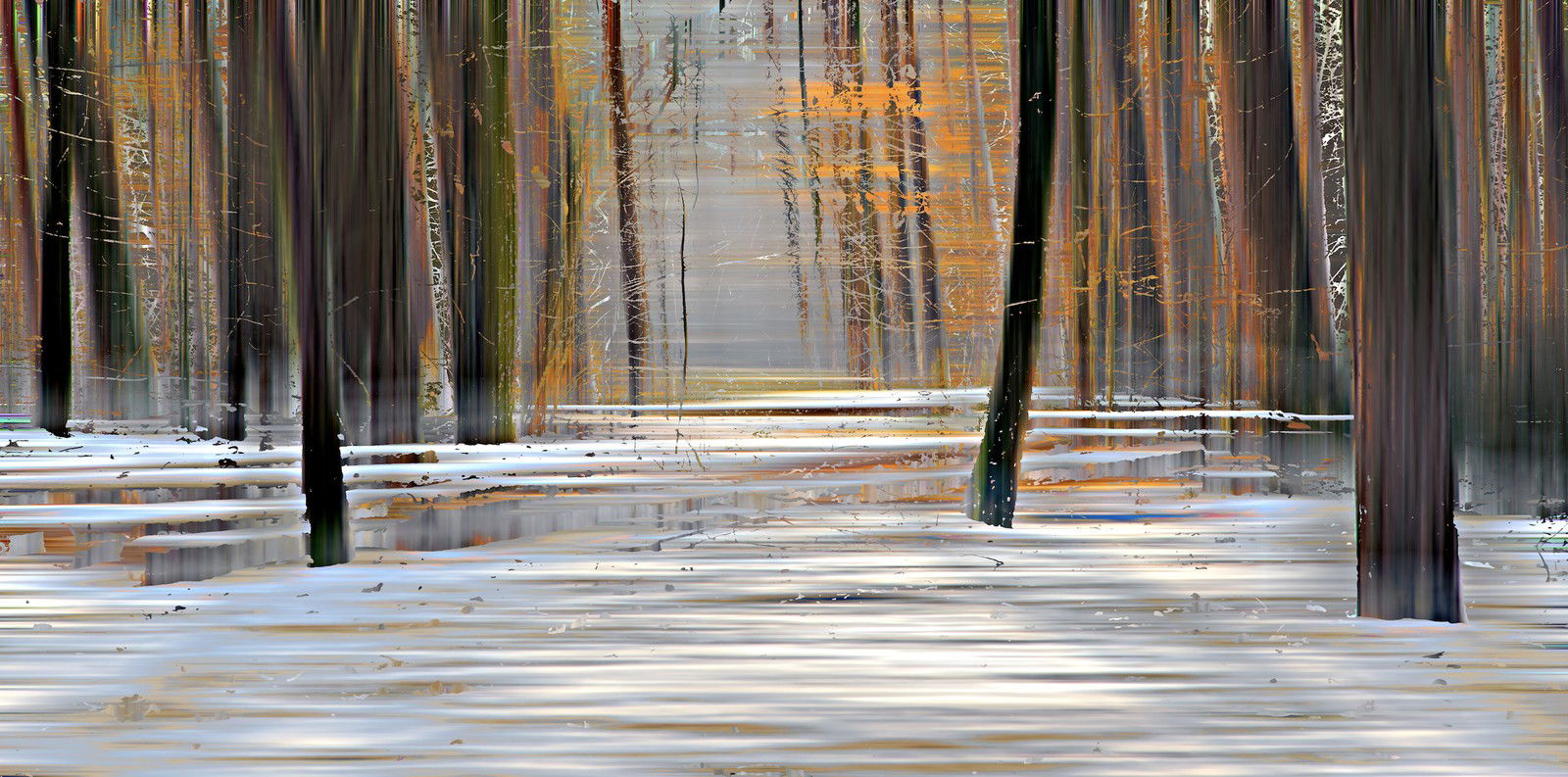 Wood XXlll by Sabine Wild - Limited Edition. Edition of: 150. Signed.