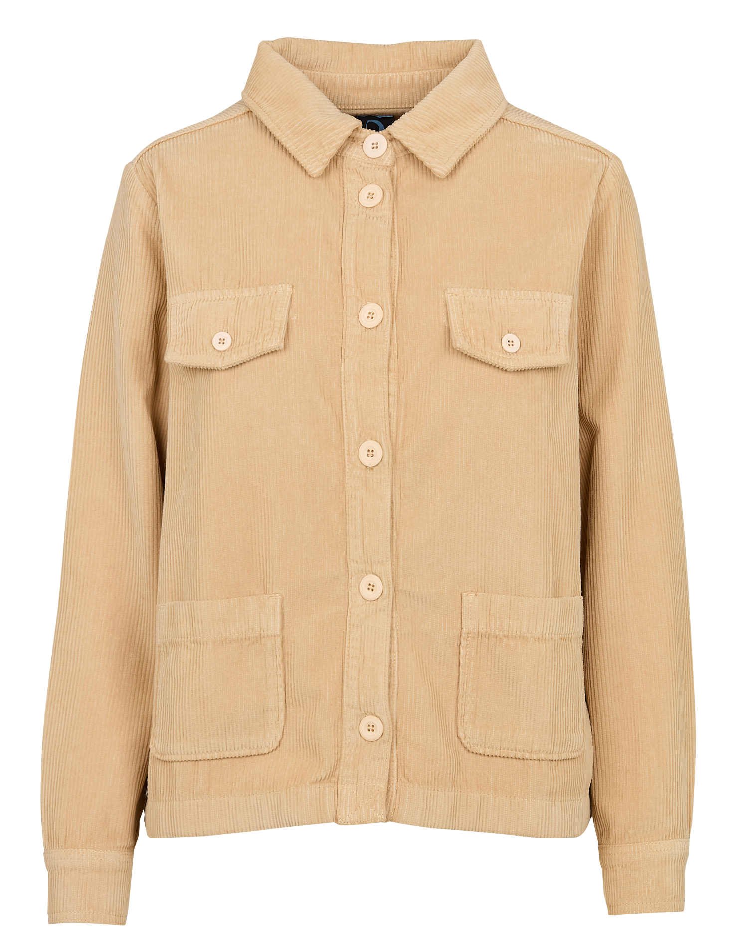 Veste droite col classique en coton | Beige