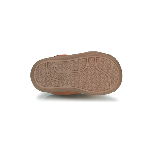 GBB - APORIDGE FLEX - Marron