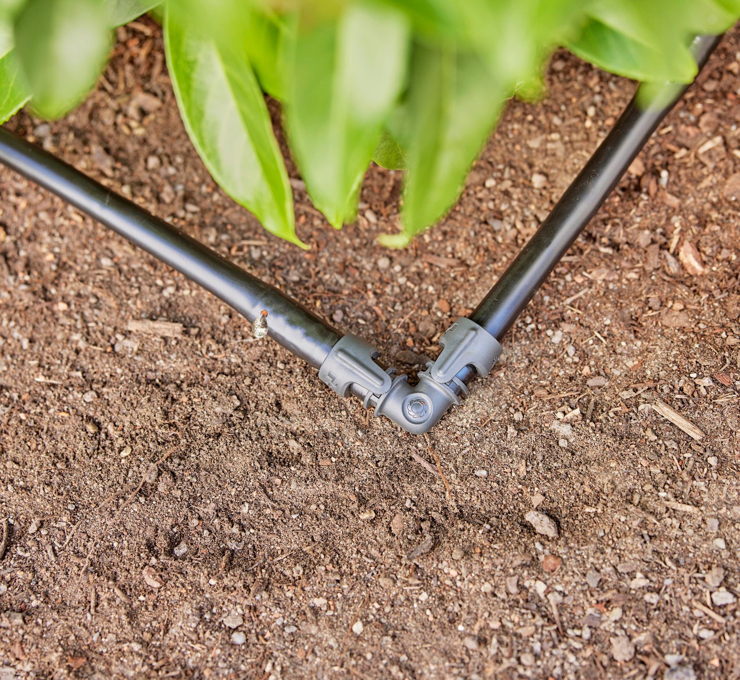 Gardena Micro Drip systeem druppelaar startset heggen en struiken 50 m