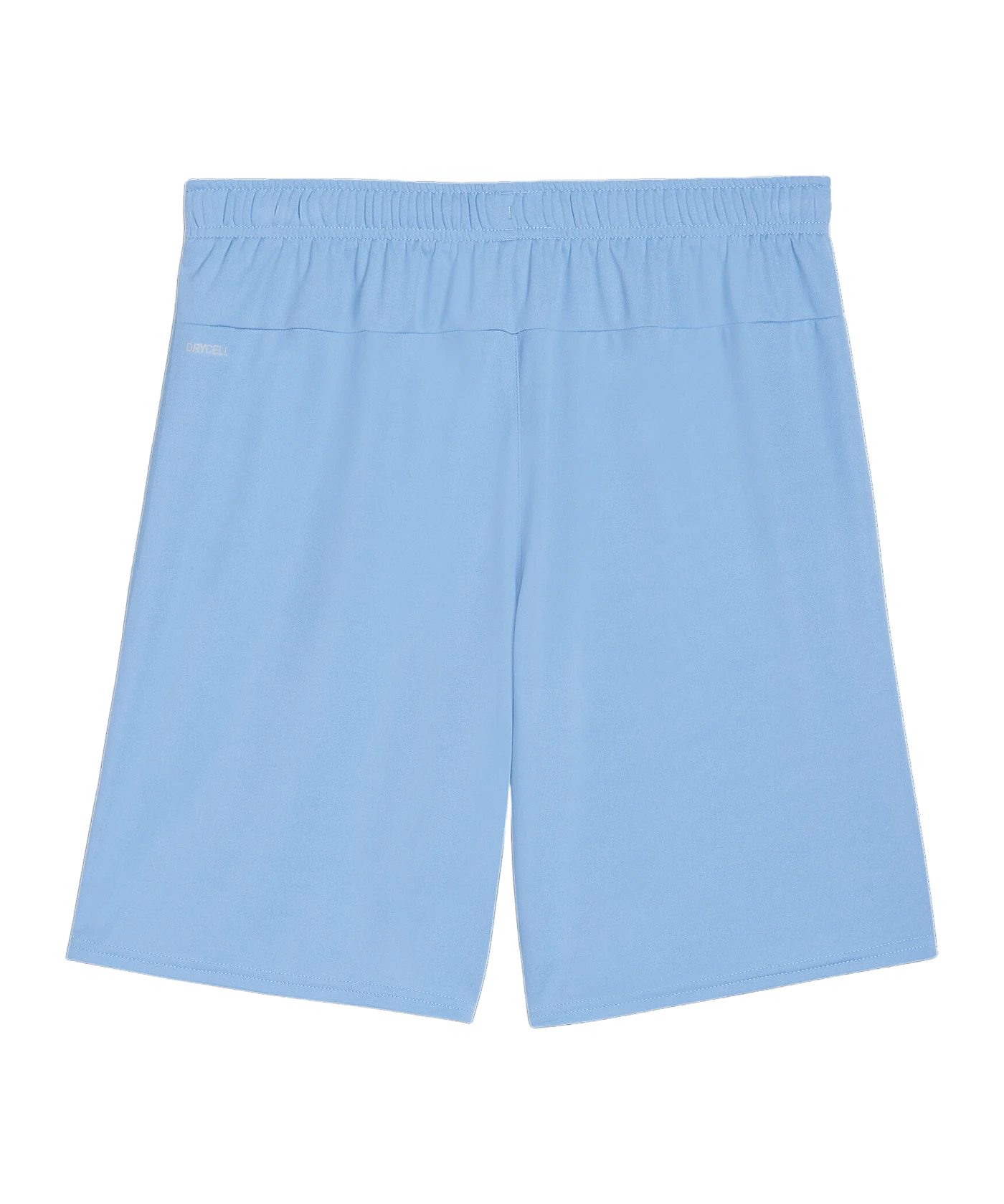 PUMA teamGOAL Short Blau Weiss F18