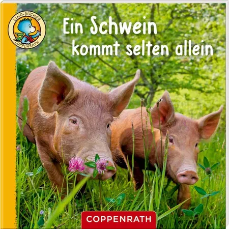Coppenrath Verlag Lino-Bücher Box Nr. 67 