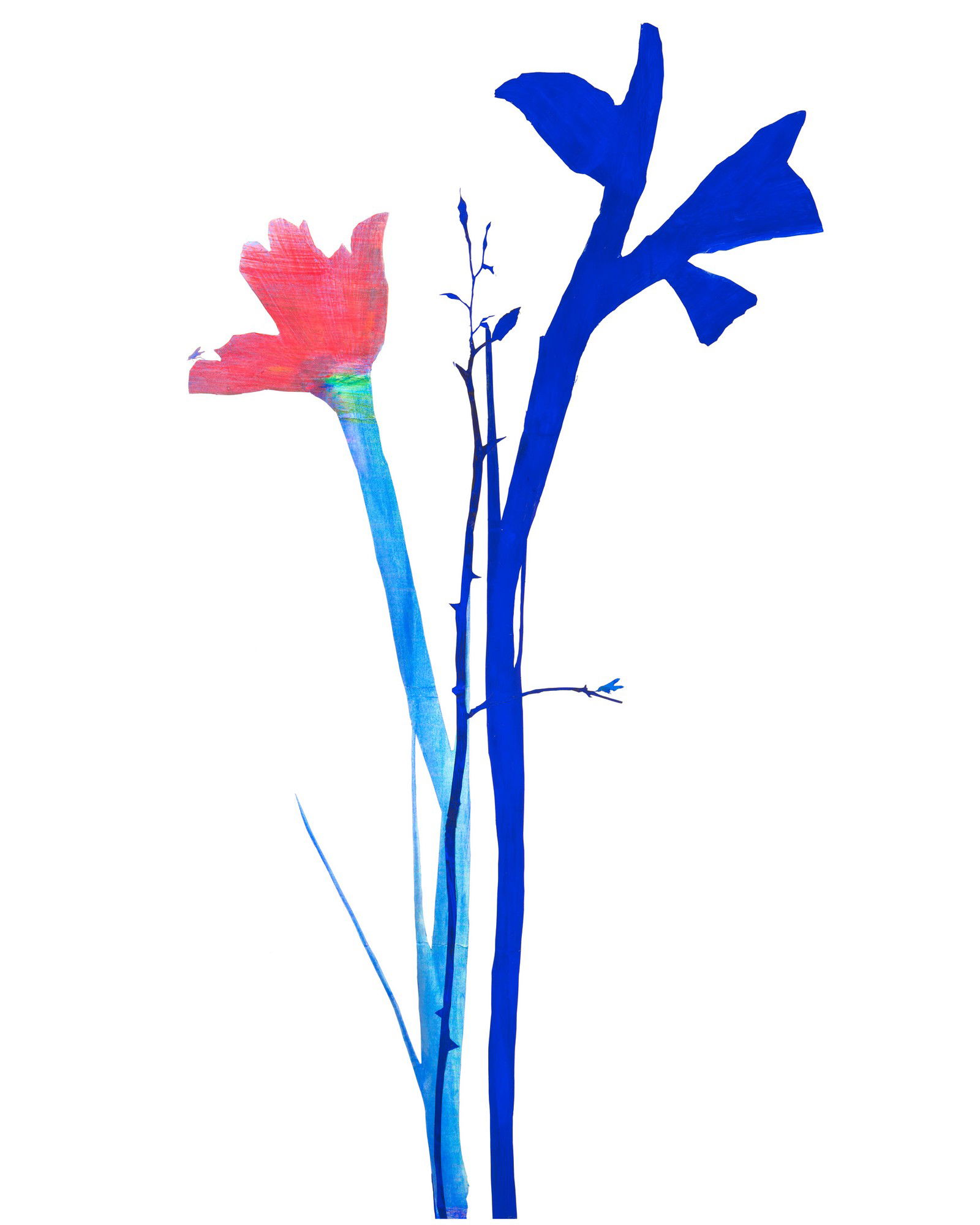 Flowers 2 by Sibylle Prinzessin Von Preussen - Limited Edition. Edition of: 100. Signed.