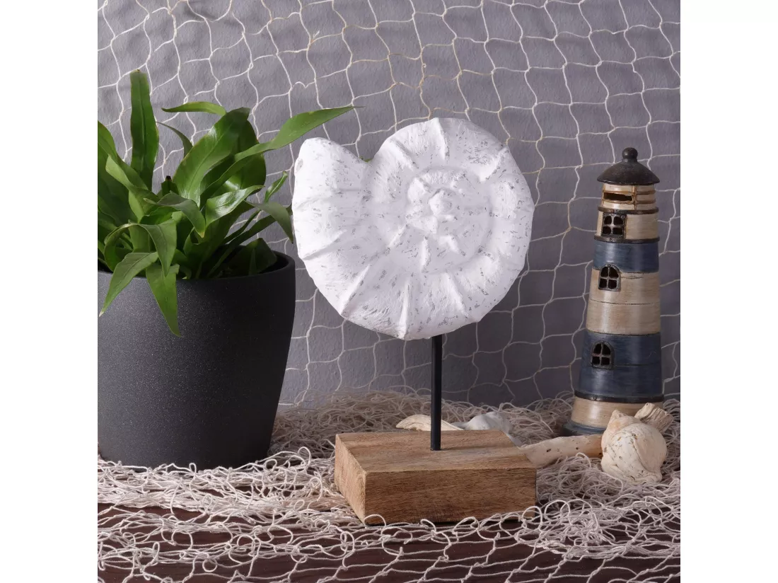 SCULPTURE Coquillage Socle en bois de mangue blanc-naturel