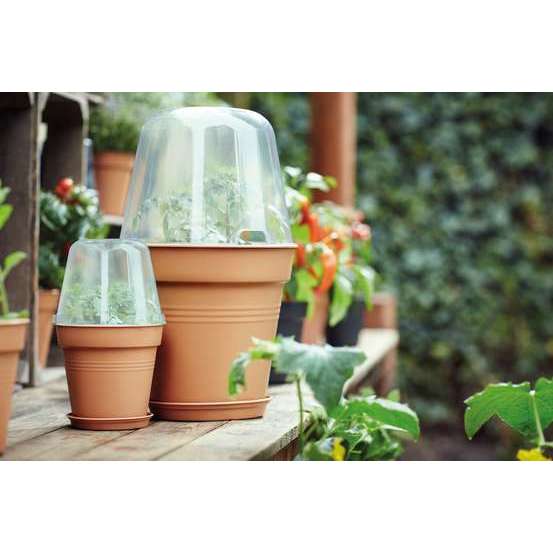 Green Basics pot de culture D.17cm terre cuite