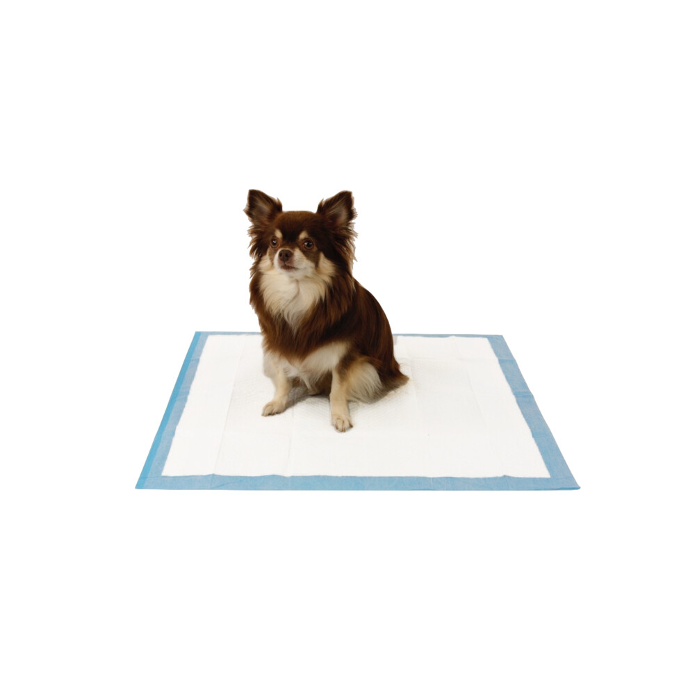 EasyPets Trainingspads 58 x 58 cm250 stuks