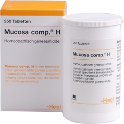Heel Mucosa compositum H 250tab