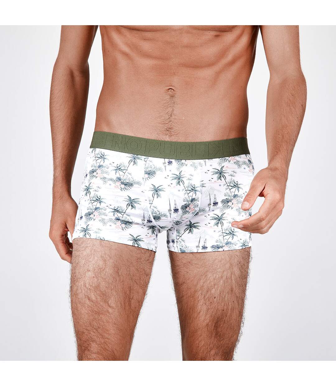 Boxer Landscape