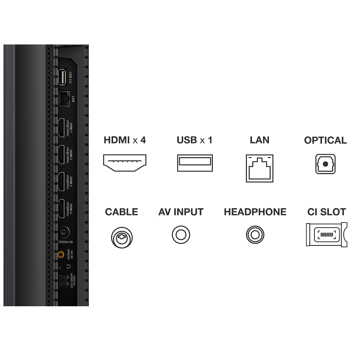 TCL 55