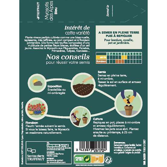 Myosotis des Alpes bleu : en sachet