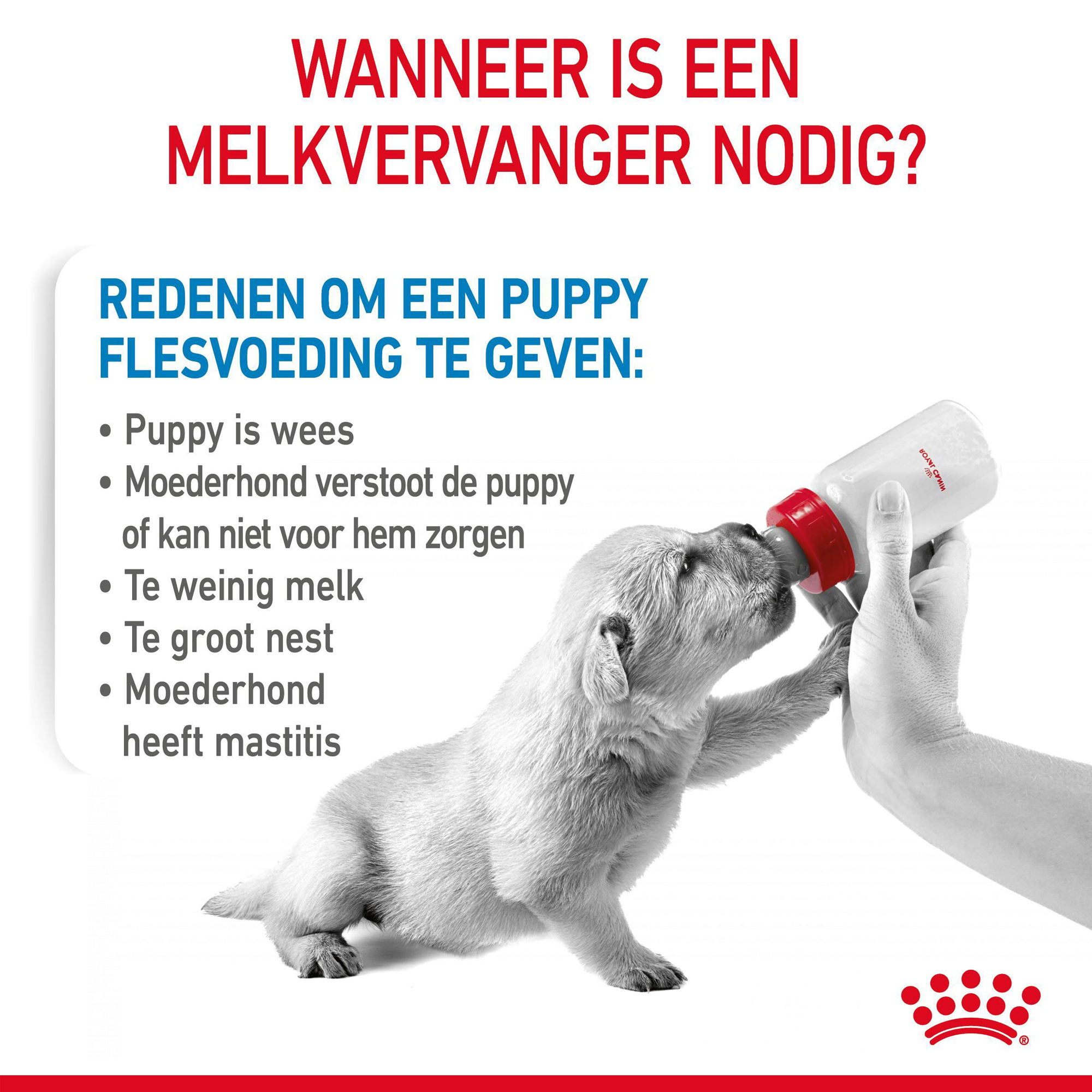 Royal Canin Babydog Milk puppymelk