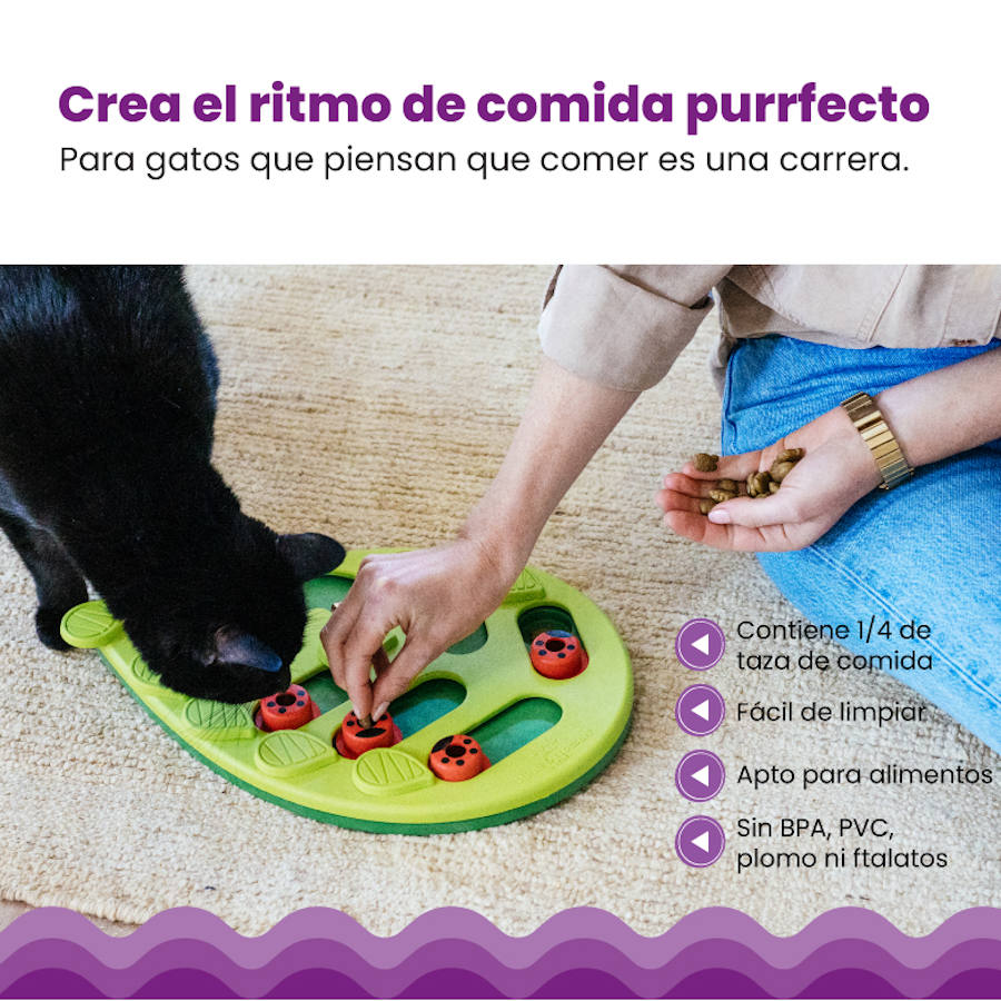 Brinquedo de Inteligência para Gatos Outward Hound Catstages Puzzle & Play Buggin' Out