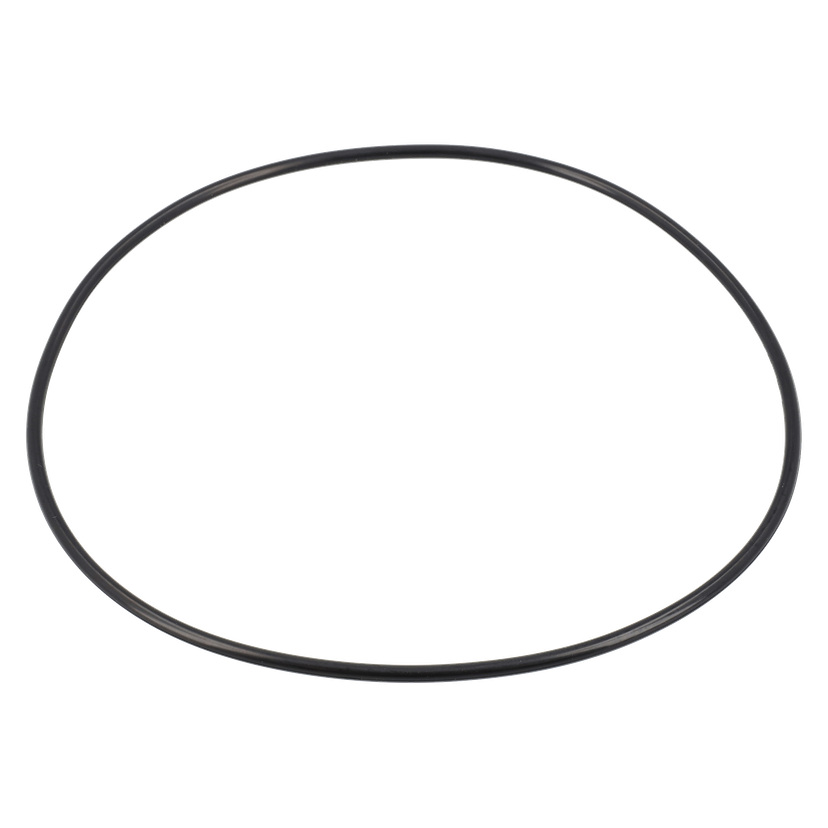 O-ring Pumphus