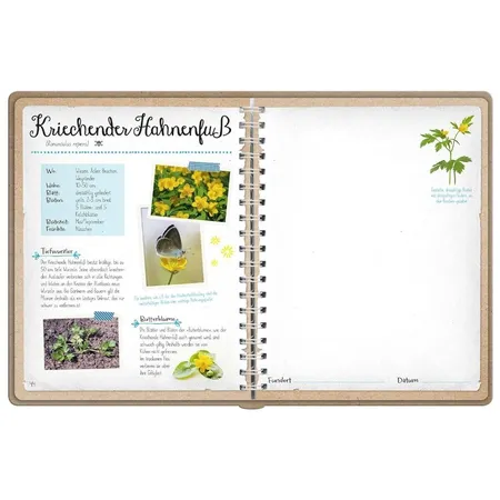 ars Edition Naturforscher-Kids – Blüten und Blätter entdecken und sammeln