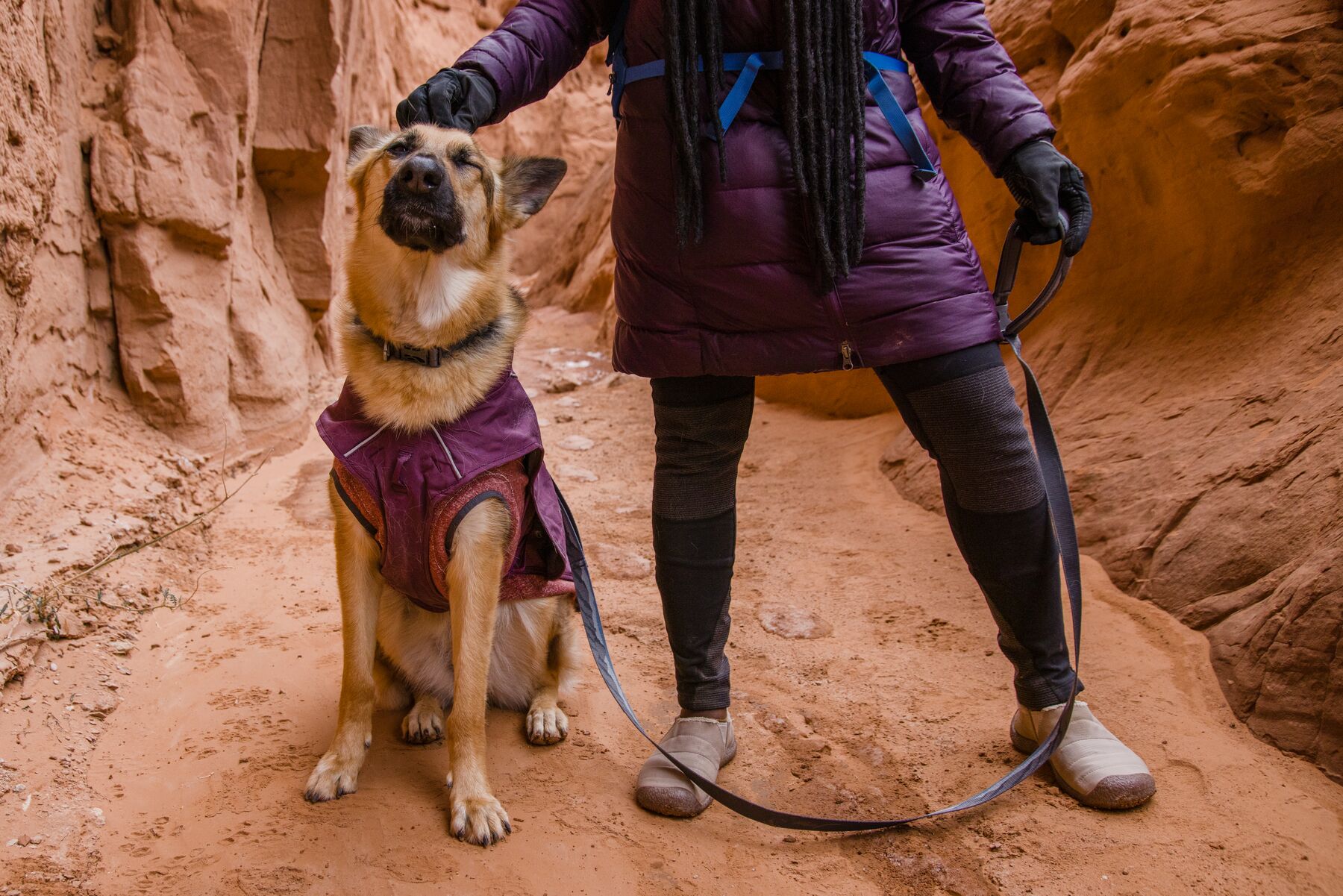 Veste avec harnais intégré et attache de laisse, overcoat fuse™. Couleur: purple rain (pourpre), taille: xs