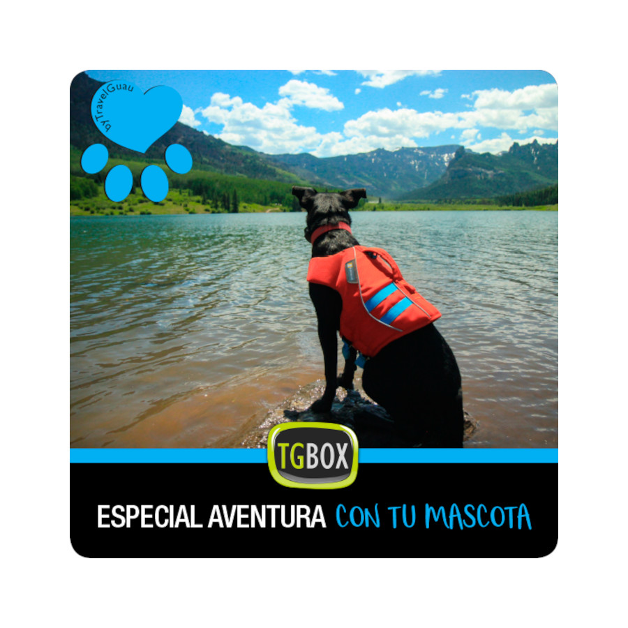 Tgbox Uma aventura especial com seu animal de estimação