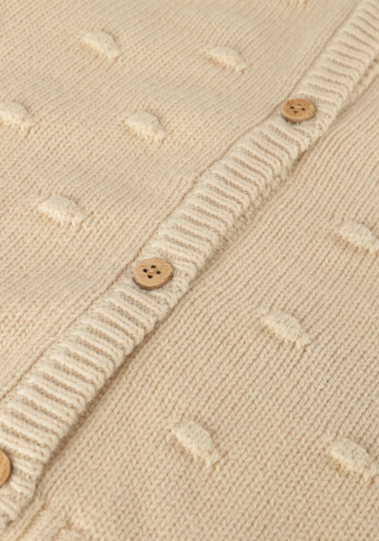 LIL\\' ATELIER beige lil' atelier vest nbfgable ls knit card