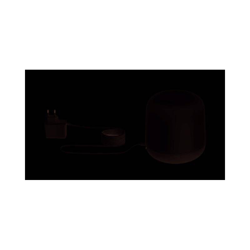 WiZ - Wi-Fi BLE Bærbar Hero Hvid Type-C