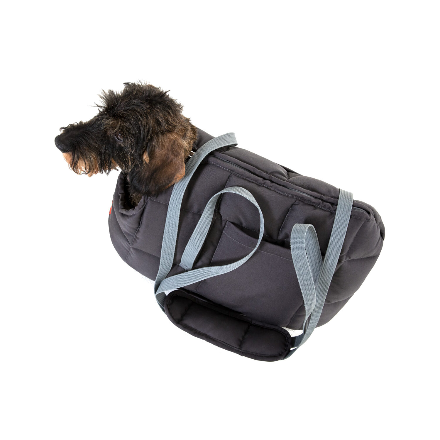 Doctor Bark Dog Carrier Bag