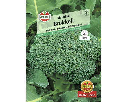 Broccoli 'Marathon' Sperli groentezaden