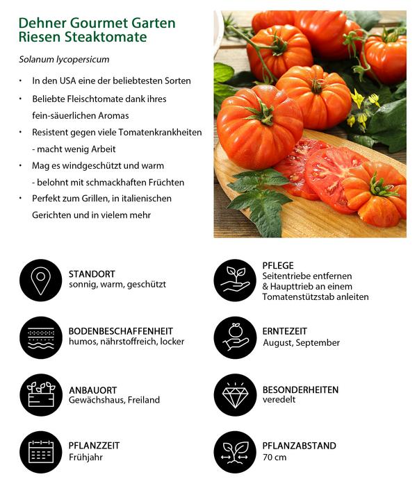 Dehner Gourmet Garten Riesen Steaktomate,