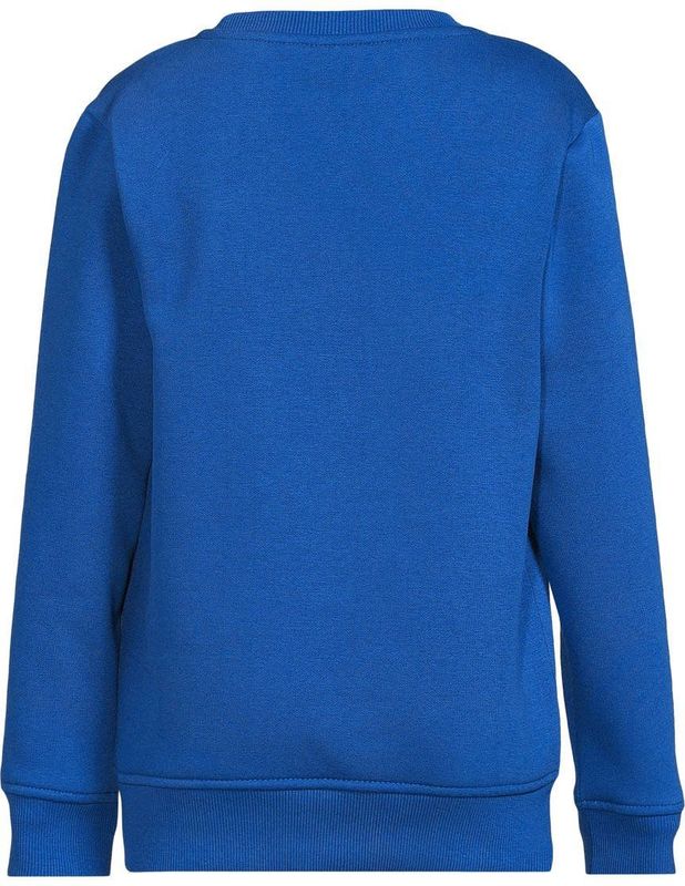 Cars Jeans Sweater Lian Jr. - Meisjes