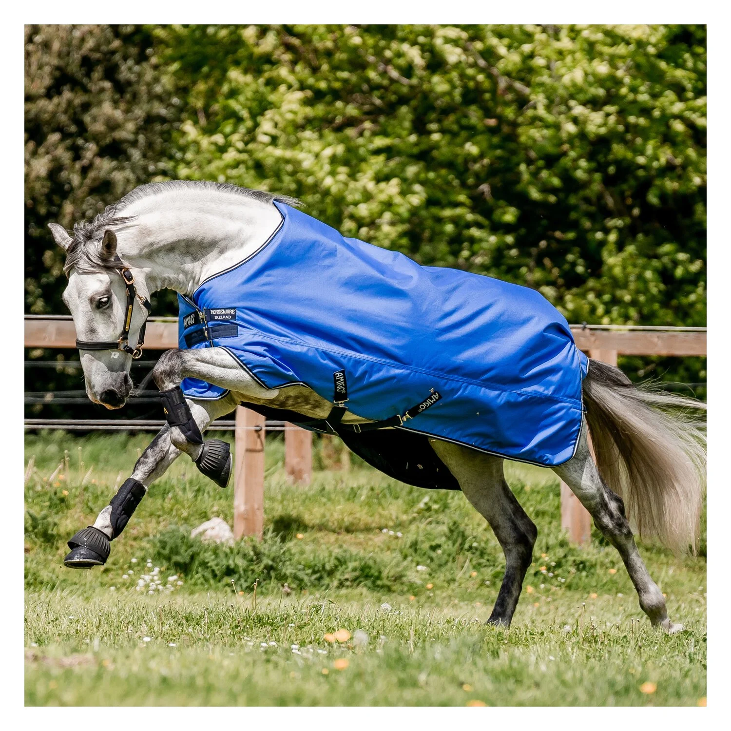 HORSEWARE Outdoordecke AMIGO Hero Ripstop 50 g - blue/navy