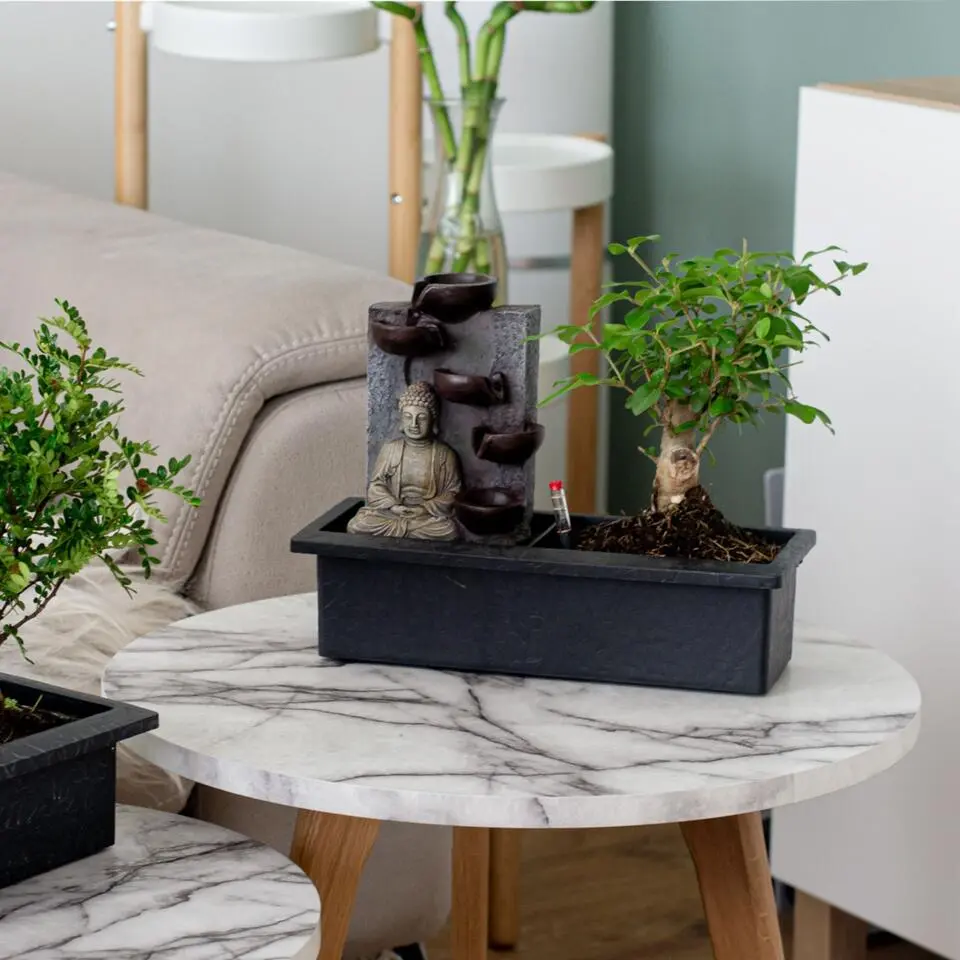Bonsai met Buddha - Bonsai - Hoogte 25-35cm - ⌀29cm