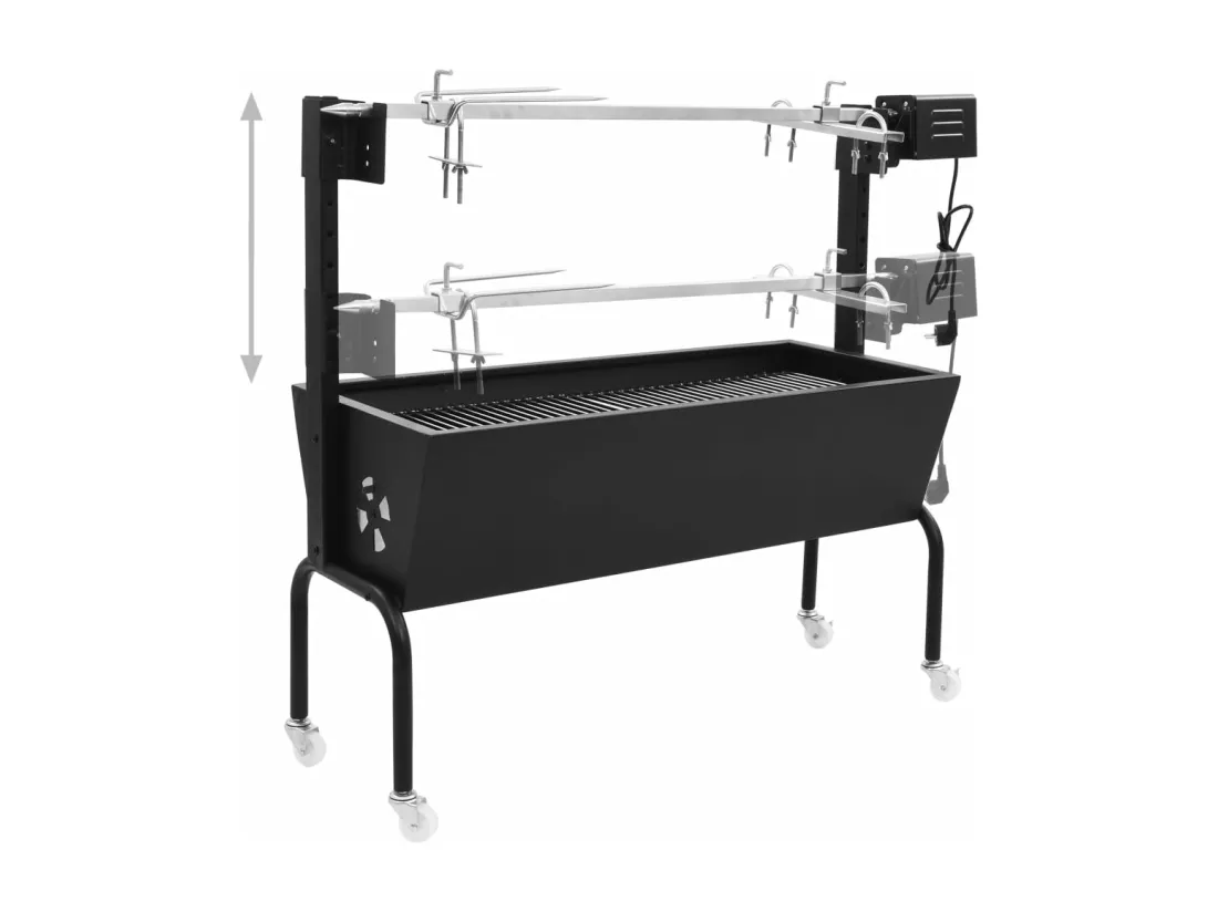 Rôtissoire pour barbecue électrique Acier inoxydable