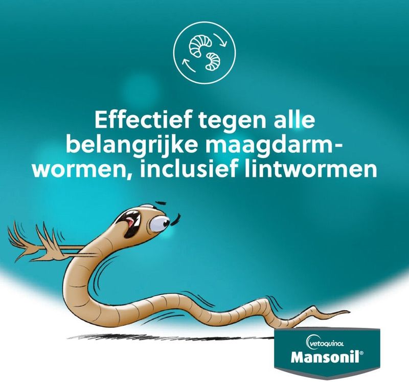 Mansonil All Worm Large Cat Ontworming - Grote Kat - 2 tabletten