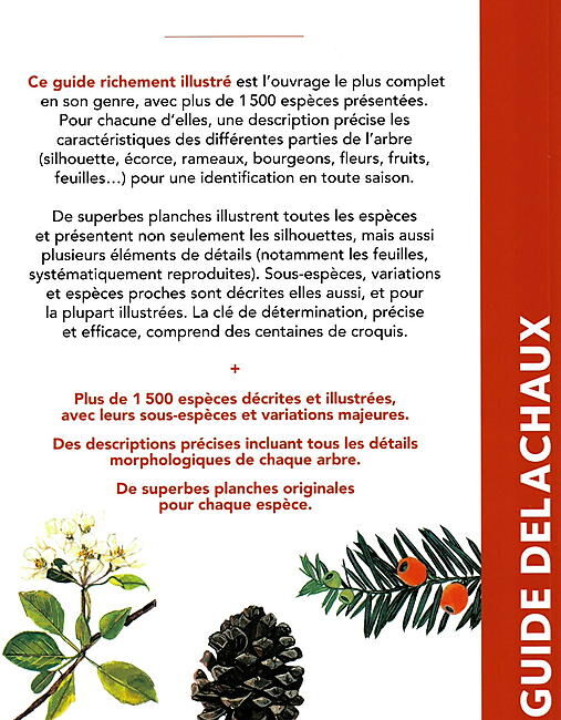 DELACHAUX  NIESTLE - ARBRES D'EUROPE