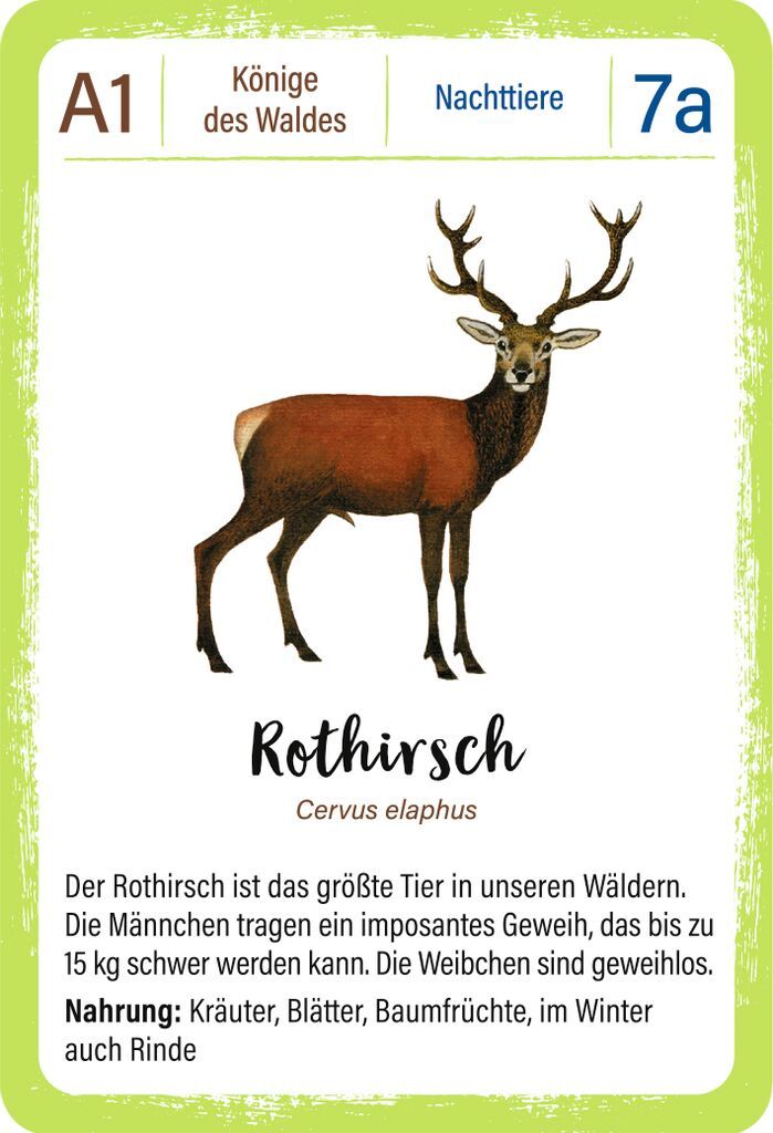Qartett EXPEDITION NATUR - WALDTIERE