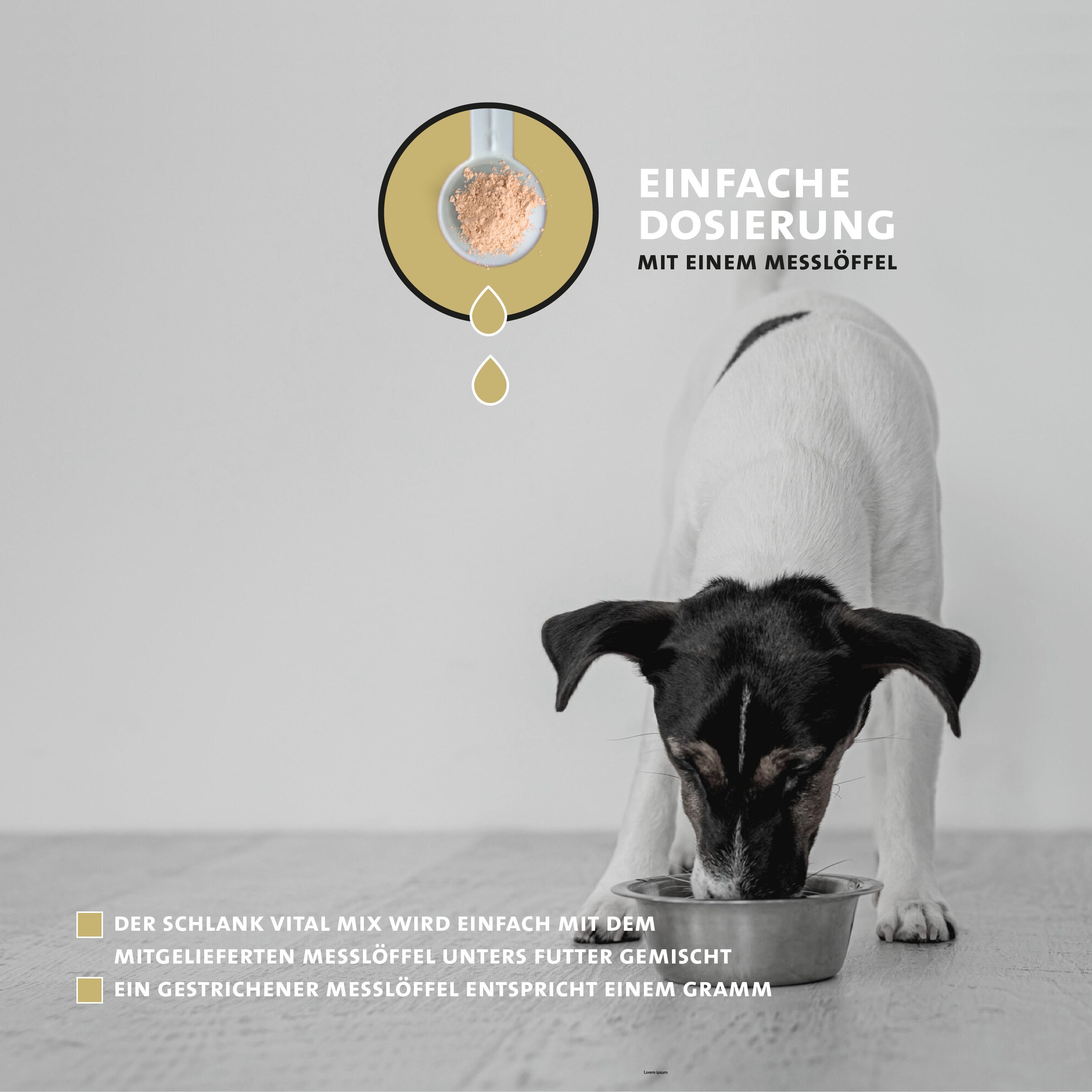 Peticare Diät Schlank Vital Pulver für Hunde, unterstützt Abnehmen-Prozess